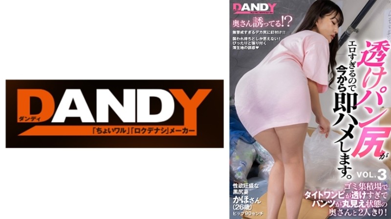 104DANDY-839C - I Was Alone With My Wife At A Garbage Dump Where Her Tight Dress Was Too Transparent And Her Panties Were Fully Exposed!  - The sheer 